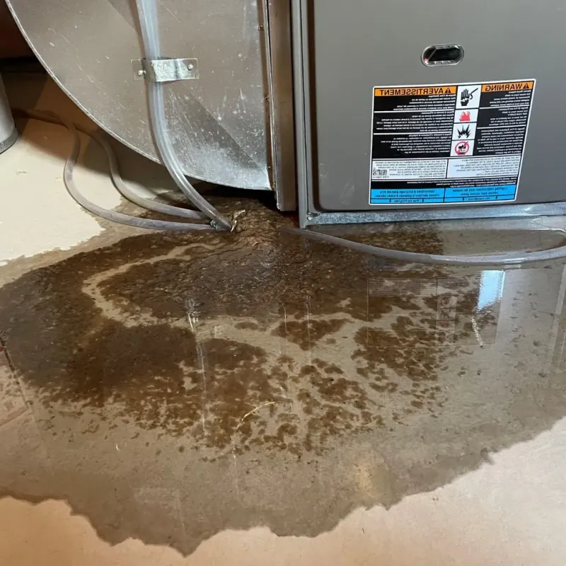 Pipe Burst and Leak Restoration in Fort Gibson, OK